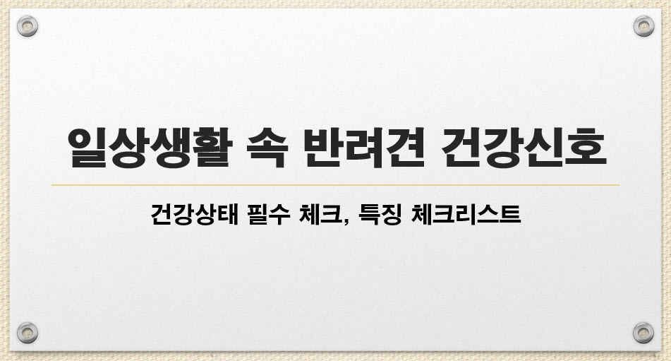 일상생활 속 반려견 건강 신호 / 건강 상태 필수 체크 특징 간단하게 알아보기