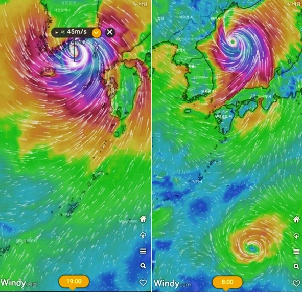 체크 기상 앱 윈디 - 9호 태풍 마이삭, 10호 태풍 하이선