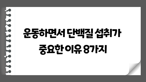 운동하면서 단백질 섭취가 중요한 이유 8가지