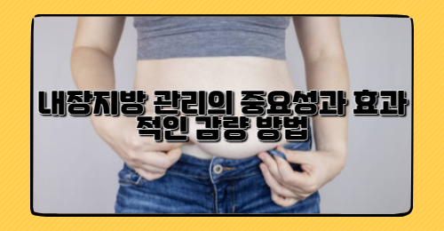 내장지방 감소를 위한 실용적인 가이드: 왜 중요하며 어떻게 관리할까?