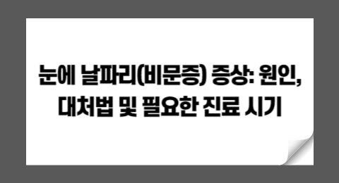 눈에 날파리(비문증) 증상: 원인, 대처법 및 필요한 진료 시기