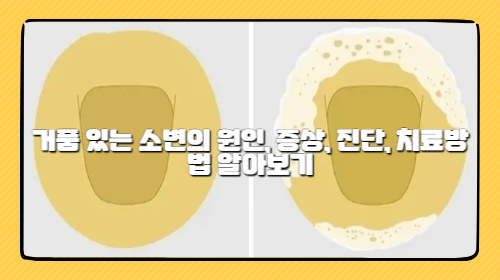 거품 있는 소변의 원인, 증상, 진단, 치료방법 알아보기