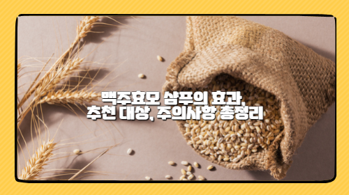 맥주효모 샴푸의 효과, 추천 대상, 주의사항 총정리