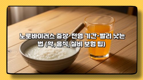 🦠 노로바이러스 증상·전염 기간·빨리 낫는 법 (약, 음식, 실비 보험 팁)
