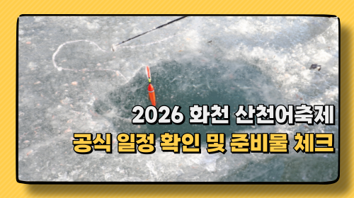 2026 얼음나라화천 산천어축제 일정 공식 확인 방법